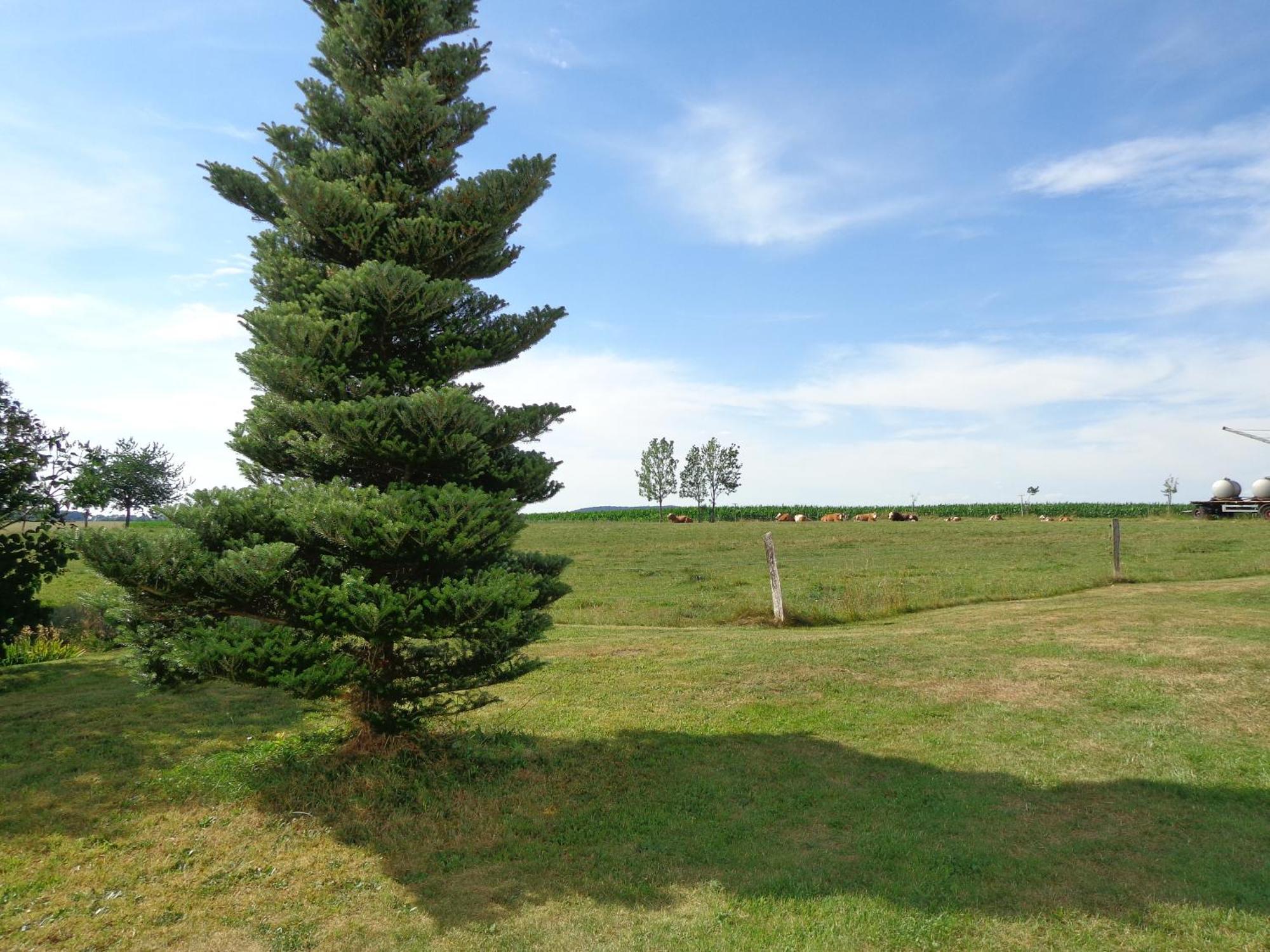 Sonnenhuegel Gasthuis Markersdorf