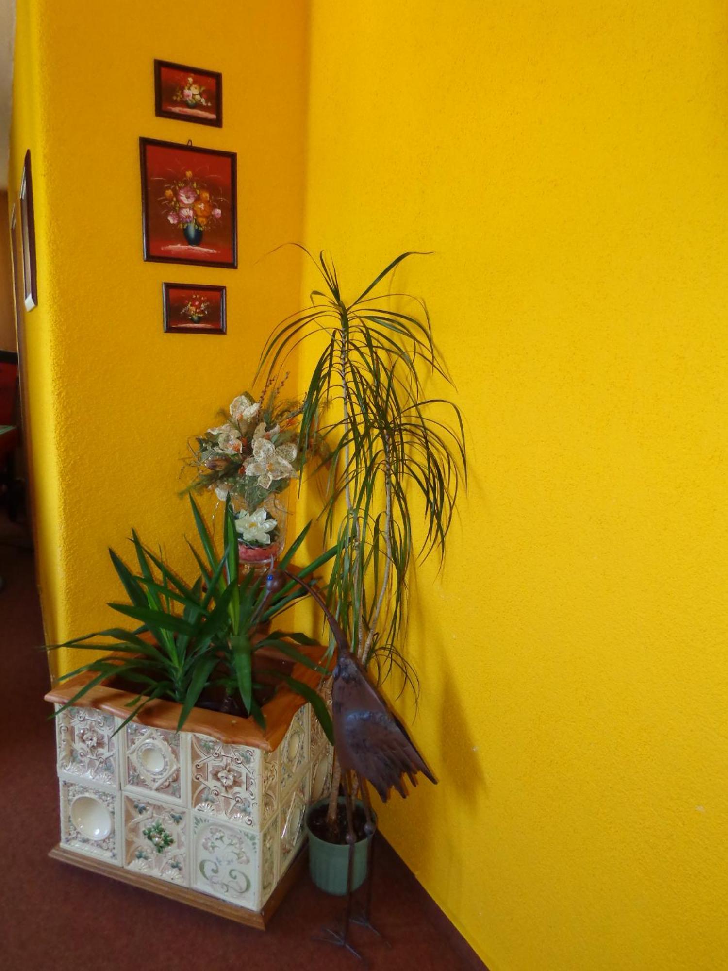 Sonnenhuegel Guest house