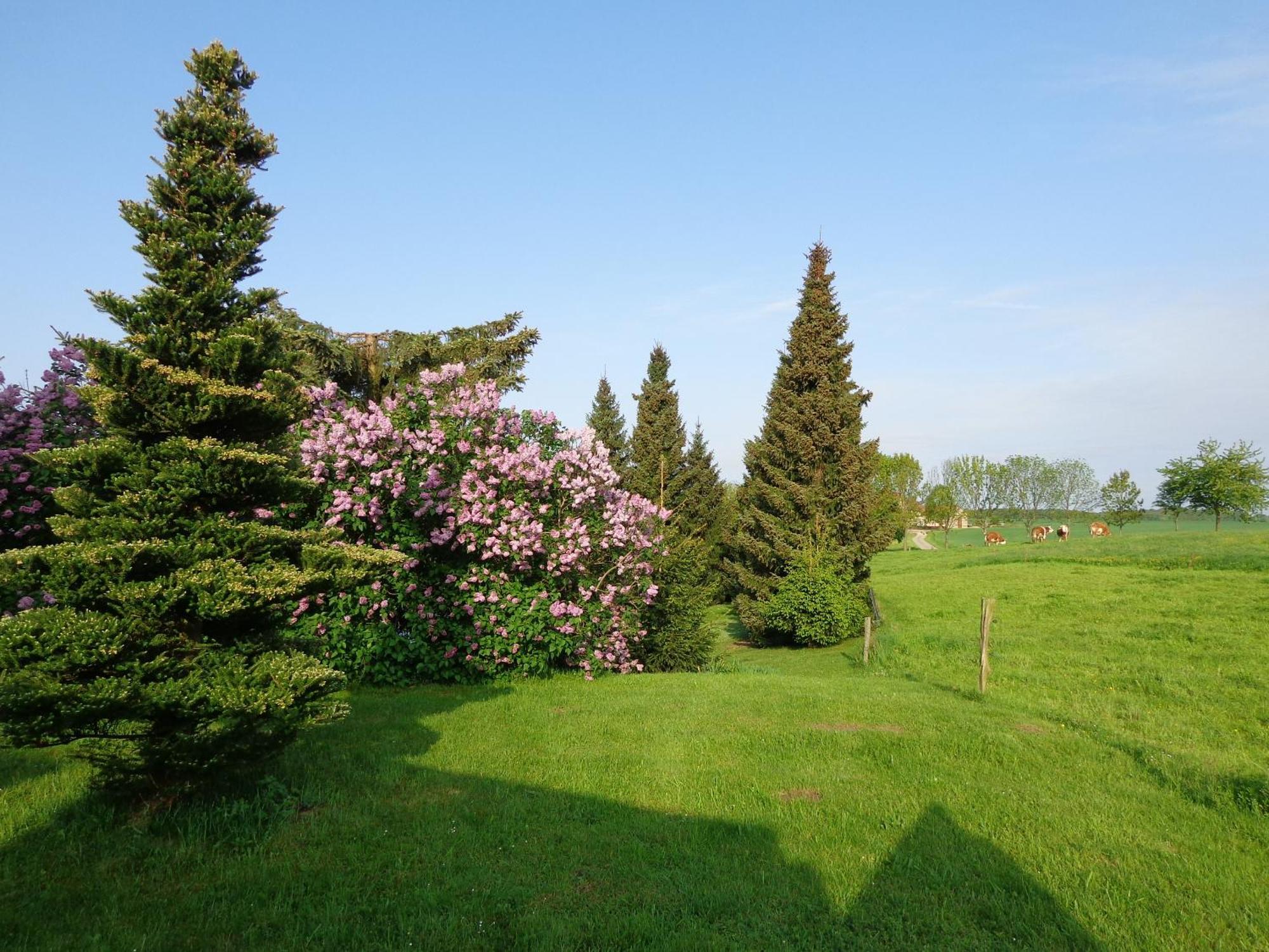 Sonnenhuegel Guest house Markersdorf
