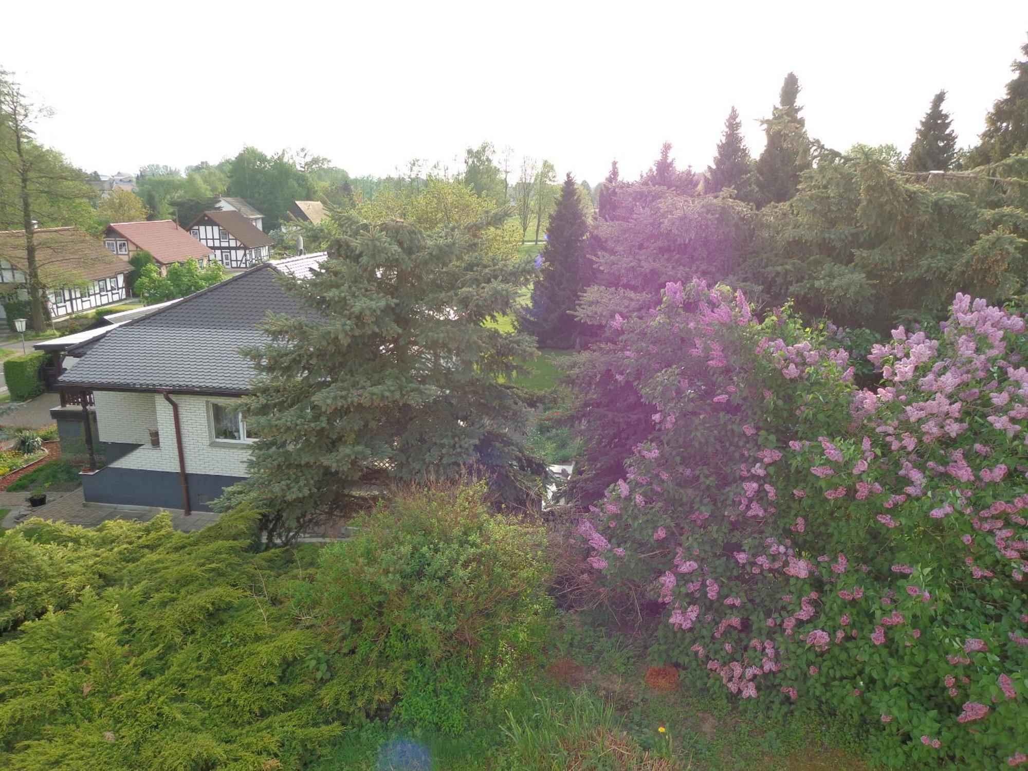 Sonnenhuegel Guest house