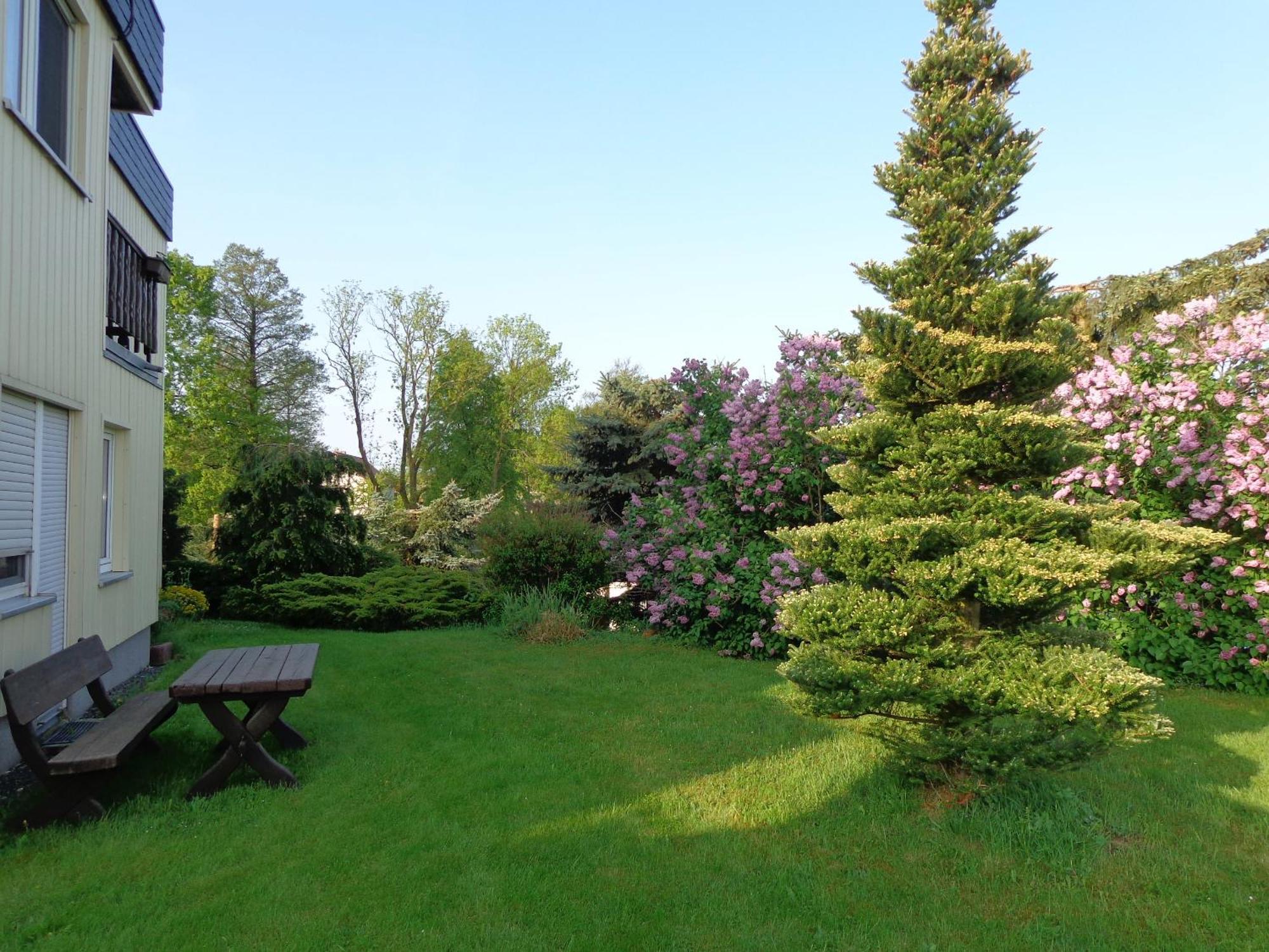 Sonnenhuegel Guest house
